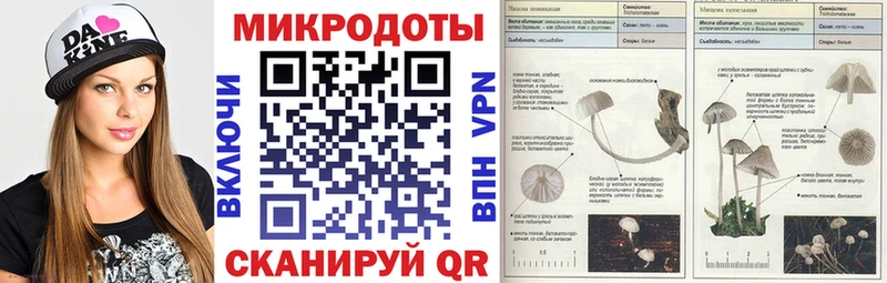 darknet состав  Каменск-Шахтинский  Галлюциногенные грибы мухоморы  сколько стоит 
